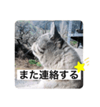 山名が作りました3（個別スタンプ：30）