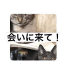 山名が作りました3（個別スタンプ：33）