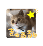 山名が作りました3（個別スタンプ：34）