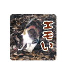 山名が作りました3（個別スタンプ：38）