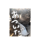 山名が作りました3（個別スタンプ：39）