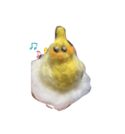 チビand鳥and猫（個別スタンプ：10）