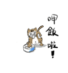 Cat Kobe（個別スタンプ：3）