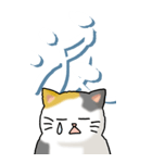 猫と漢字（大）その1（個別スタンプ：12）