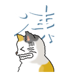 猫と漢字（大）その1（個別スタンプ：25）