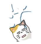 猫と漢字（大）その1（個別スタンプ：27）