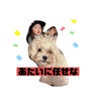 ナラファミリー35（個別スタンプ：11）