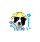 ボーダーコリー リッキーの日常2（個別スタンプ：2）
