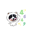 ボーダーコリー リッキーの日常2（個別スタンプ：5）