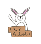 基本うさぎ8種あいさつ（個別スタンプ：7）