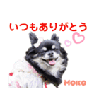 モコちゃんのかわいいスタンプ2（個別スタンプ：2）