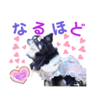 モコちゃんのかわいいスタンプ2（個別スタンプ：7）