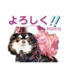 モコちゃんのかわいいスタンプ2（個別スタンプ：8）