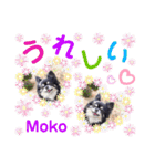 モコちゃんのかわいいスタンプ2（個別スタンプ：10）