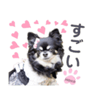 モコちゃんのかわいいスタンプ2（個別スタンプ：19）