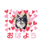 モコちゃんのかわいいスタンプ2（個別スタンプ：23）
