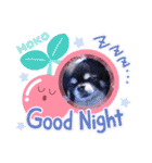 モコちゃんのかわいいスタンプ2（個別スタンプ：24）