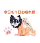 モコちゃんのかわいいスタンプ2（個別スタンプ：29）