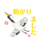 POPな千鳥 〜クセがスゴい〜  【丁寧編】（個別スタンプ：11）