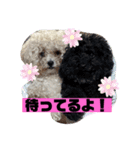 ナラファミリー37（個別スタンプ：4）