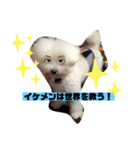 ナラファミリー37（個別スタンプ：7）