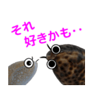 海の生き物 タカラガイ（個別スタンプ：7）