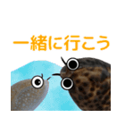 海の生き物 タカラガイ（個別スタンプ：9）