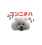 アビー スタンプ（個別スタンプ：2）