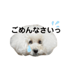 アビー スタンプ（個別スタンプ：7）