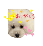 アビー スタンプ（個別スタンプ：11）
