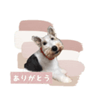 コペルちゃんのスタンプ（個別スタンプ：1）