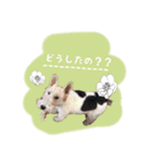 コペルちゃんのスタンプ（個別スタンプ：2）