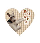 コペルちゃんのスタンプ（個別スタンプ：5）