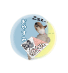 コペルちゃんのスタンプ（個別スタンプ：8）
