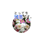 花束にそえて（個別スタンプ：11）