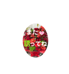 花束にそえて（個別スタンプ：23）