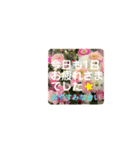 花束にそえて（個別スタンプ：24）