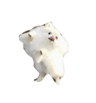 らいすたんぷ第二弾(やば顔)（個別スタンプ：4）