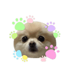 らいすたんぷ第二弾(やば顔)（個別スタンプ：8）