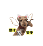 ウェルシュテリア♡ ジェリーさんの1日④（個別スタンプ：7）