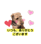ウェルシュテリア♡ ジェリーさんの1日④（個別スタンプ：10）