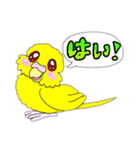 ルチノー！黄色セキセイインコちゃん（個別スタンプ：1）