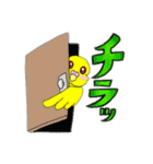 ルチノー！黄色セキセイインコちゃん（個別スタンプ：22）