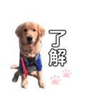 Aoto's stamp☆（個別スタンプ：20）
