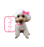 きなもなchan（個別スタンプ：6）