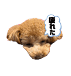 きなもなchan（個別スタンプ：15）