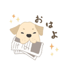 アイメイト Lineスタンプ Vol.1（個別スタンプ：2）