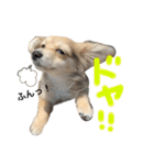 rayくんスタンプ（個別スタンプ：14）