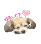 rayくんスタンプ（個別スタンプ：16）