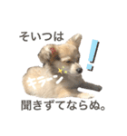 rayくんスタンプ（個別スタンプ：18）